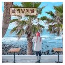 바다와자전거 | *애월 카페 추천* 플라잉애월 바다뷰와 브런치가 특별합니다