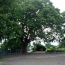 미스타페오 이미지