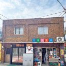 마로니에 이미지