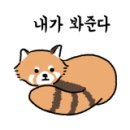 영렘브란트