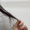 에이바헤어 화랑대점 | 화랑대 머리잘하는미용실 에이바헤어 퍼스널 클리닉 받고 왔어요 ✨