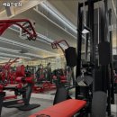 렉슬프로짐 이미지