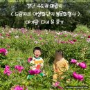 써니드림마켓 | 검단 수도권매립지 드림파크 야생화단지 봄문화행사 아기랑다녀온후기