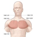 H GYM(에이치 짐) 이미지