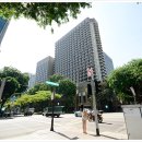 칼튼호텔 이미지