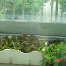 영란농장 이미지