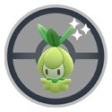 프로젝트알 이미지