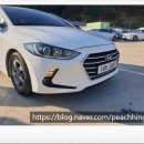 울릉도렌트카 고민 끝! 독도렌트카 주식회사 이용 후기