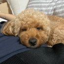 산내들웰빙 | 만취일상 + 맛집일상