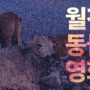 그린축산동물병원