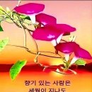 &#39;가슴을 울리는 글&#39; 🔅짐 이미지