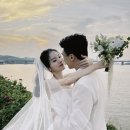 주니 뉴스엔