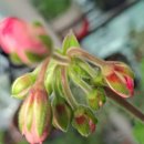 송인농장 이미지