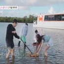 골드 마운틴77 이미지