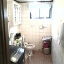 면일초등학교 이미지