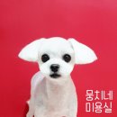 뭉치네 미용실 이미지