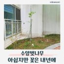 수양정비