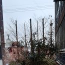 대행빌라 이미지