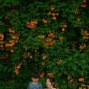 한강화장실 뚝섬16 화장실 이미지