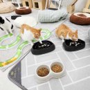 울산 강일웅고양이메디컬센터 이미지