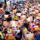 옆집강아지 이미지