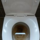 거북빌딩 이미지