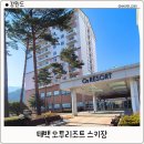 태백로 | 태백 여행 오투리조트 눈썰매 스키장 숙박이용 후기