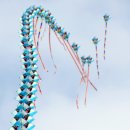 황룡친수공원 이미지