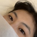 영남대학교 환경 | [경산/속눈썹펌] 로랑뷰티 경산점 후기｜영남대에서 제일 만족한 펌 후기💗✨