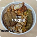 메가스테이서초 | 한솥 메가치킨마요 폭력적인 서초 직장인 점심 포장