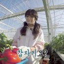 이유리농장 이미지