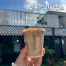 최종우 | 강릉 갤러리밥스 솔로지옥2 종우카페 초옥이 커피 후기