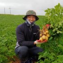 원이농장 이미지