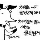 루피독 이미지