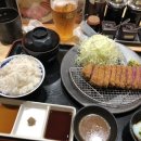 강이네펫샵 | 2박 3일 5월 일본 여행 혼자간 기록