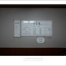만강홍 이미지