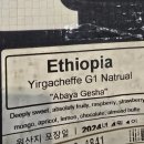 스페셜리티커피 이미지