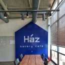 하츠(HAZ) 이미지