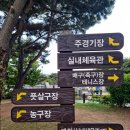 관문체육공원 인라인스케이트장 이미지
