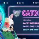 민트도그 이미지