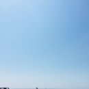 현정이네 이미지