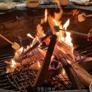 정들고펜션2 | 정들고펜션 바다 소리 들으며 힐링하기