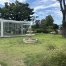 멍푸치노 이미지