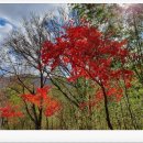 좋은아침팬션 이미지