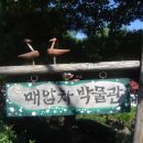 악양초등학교 이미지