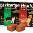 마음편한 동물메디컬센터 이미지