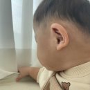 천연화장품 | 신생아 기저귀발진 크림 추천 아기 천연화장품 브랜드 후기