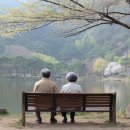 백세시대 이미지