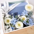 플레플레르