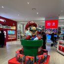 제일건재 | 용산 아이파크몰 3층 덕질투어(닌텐도샵,SMG샵,지브리샵)방문후기